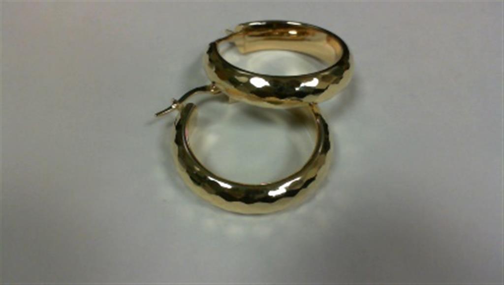 Precious Metal Earring