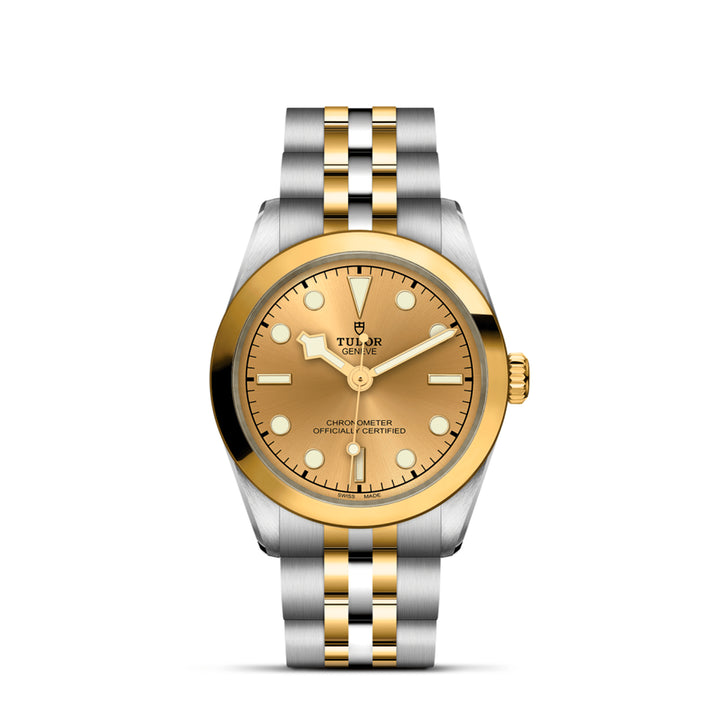 TUDOR Black Bay One 31 S&G