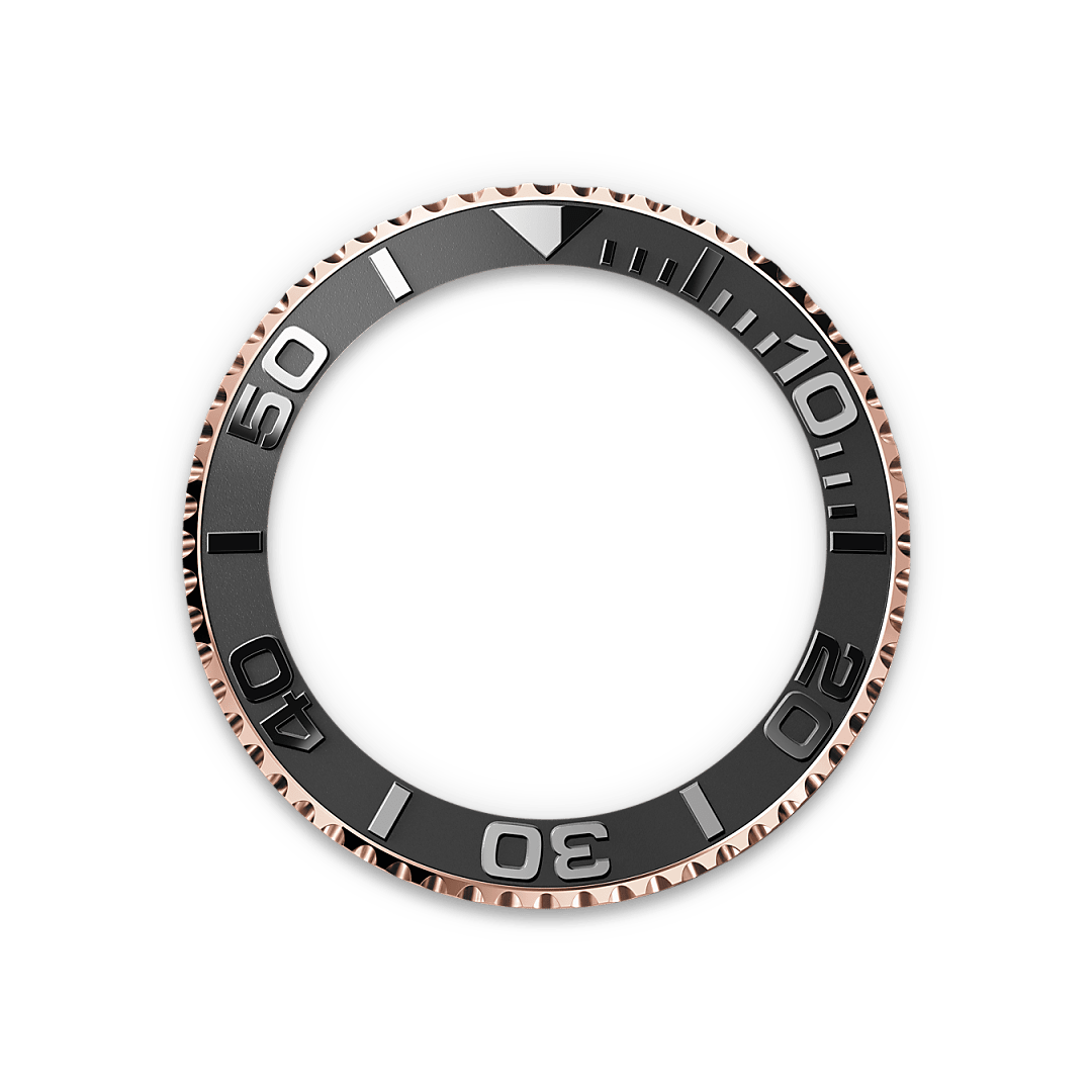 Bidirectional Rotatable Bezel