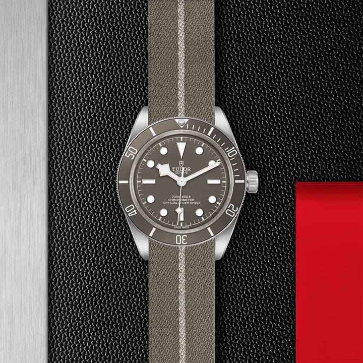 Tudor Black Bay Fifty-Eight