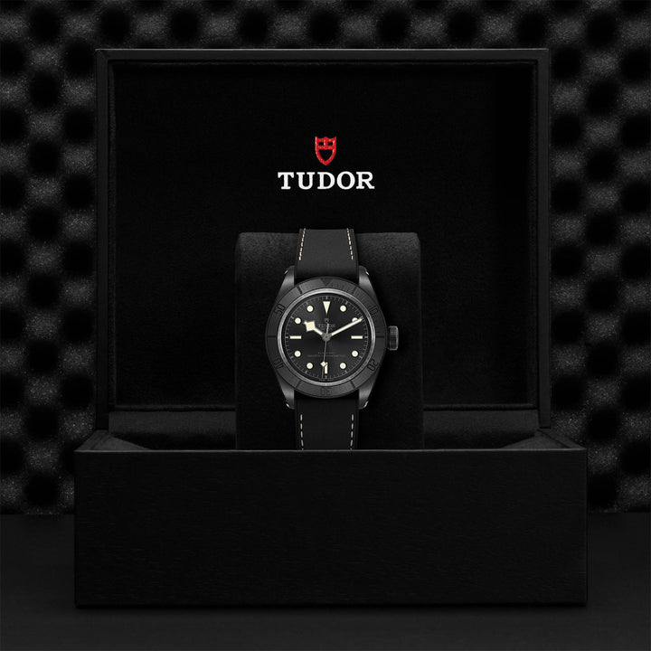 Tudor Black Bay