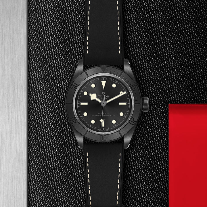 Tudor Black Bay