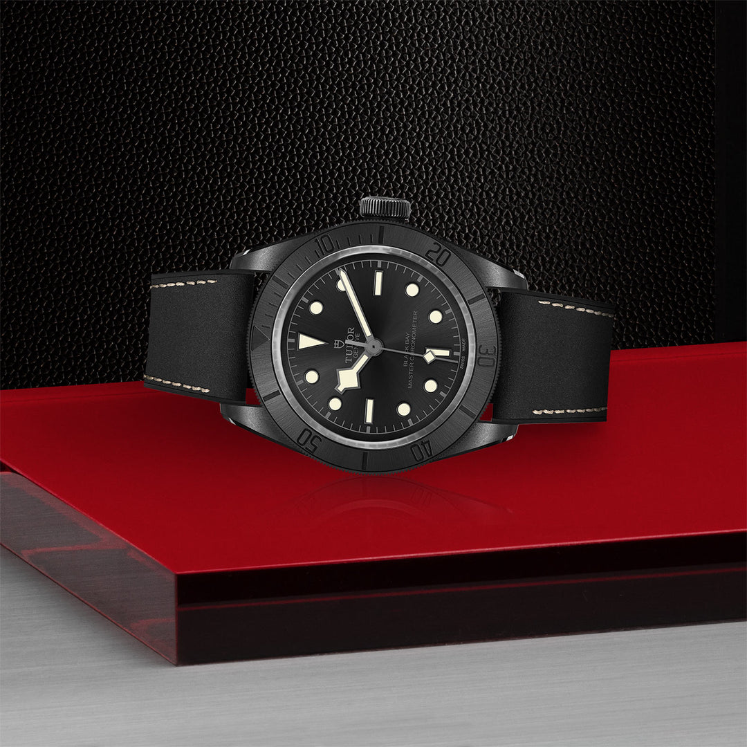 Tudor Black Bay