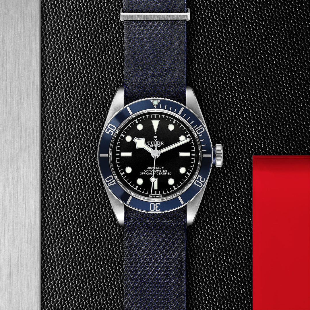 Montre TUDOR Black Bay