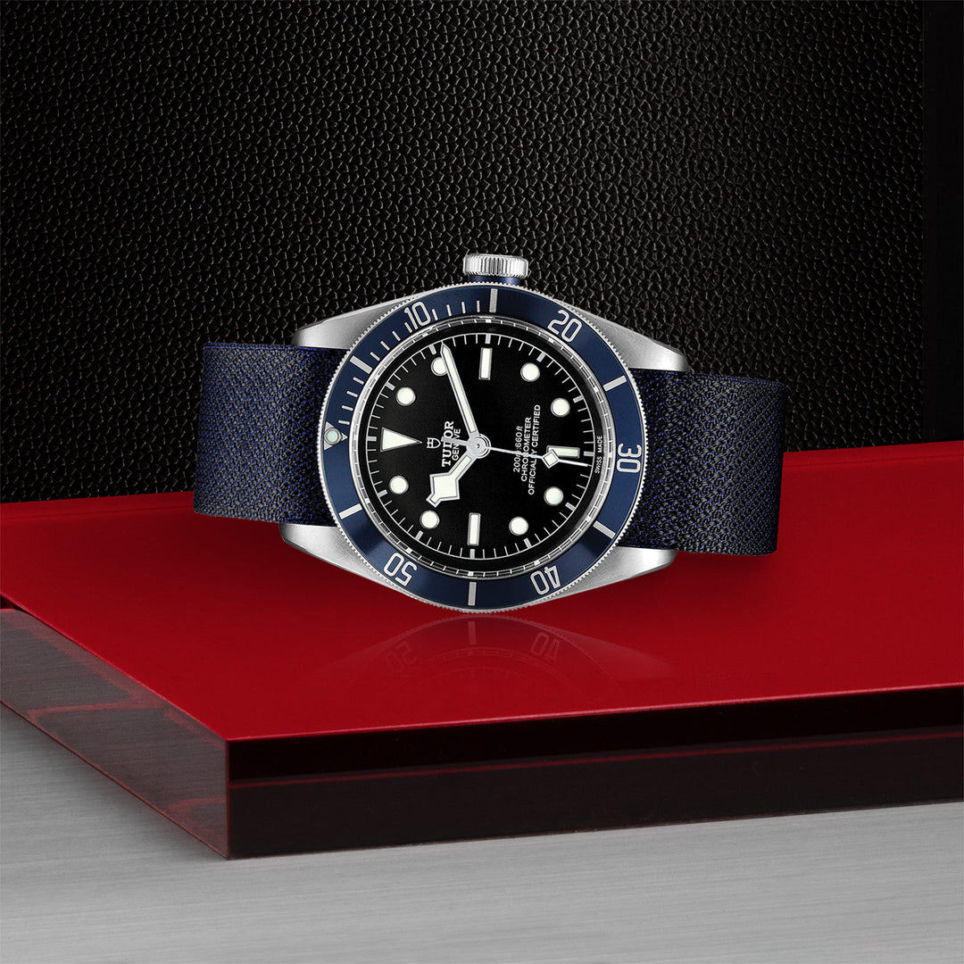 Montre TUDOR Black Bay