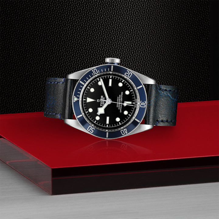 Montre TUDOR Black Bay