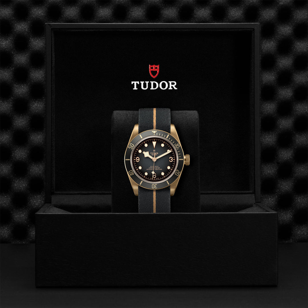 TUDOR Black Bay Bronze Watch