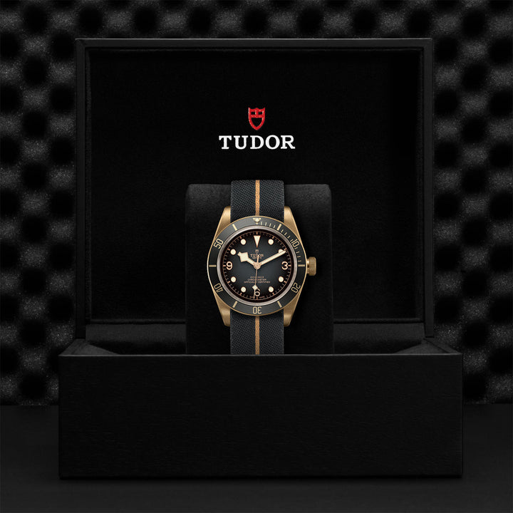 Montre TUDOR Black Bay Bronze