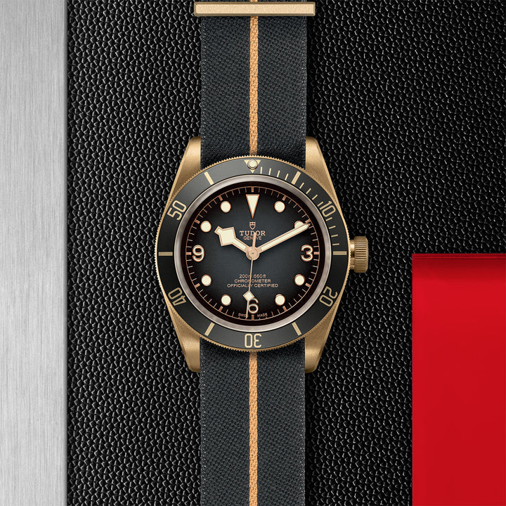 TUDOR Black Bay Bronze Watch