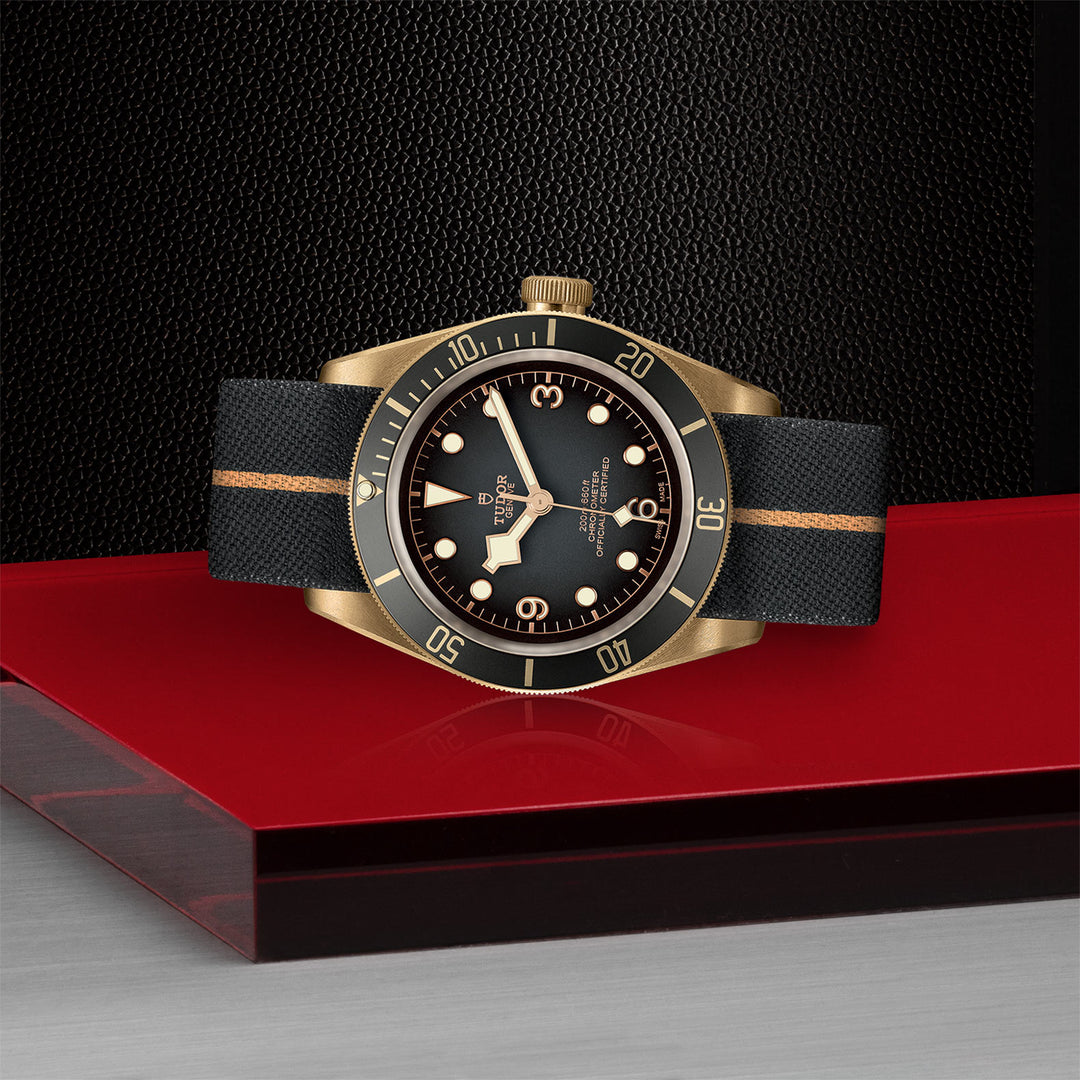 TUDOR Black Bay Bronze Watch