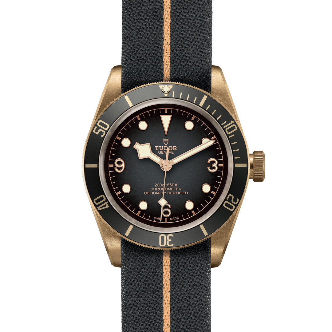 TUDOR Black Bay Bronze Watch