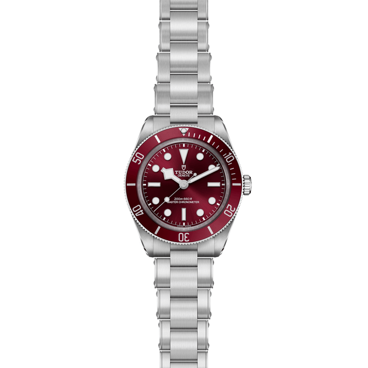 TUDOR Black Bay 58