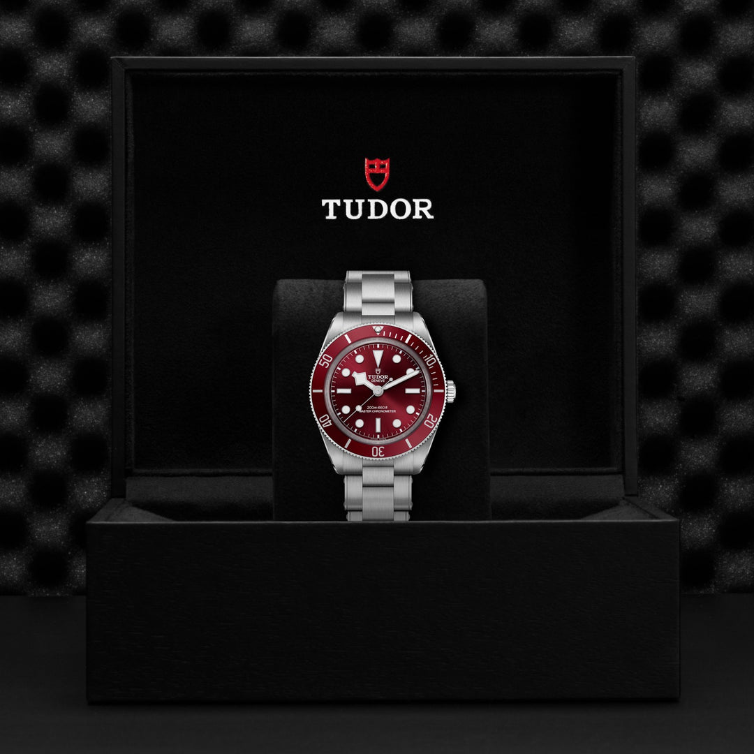 TUDOR Black Bay 58