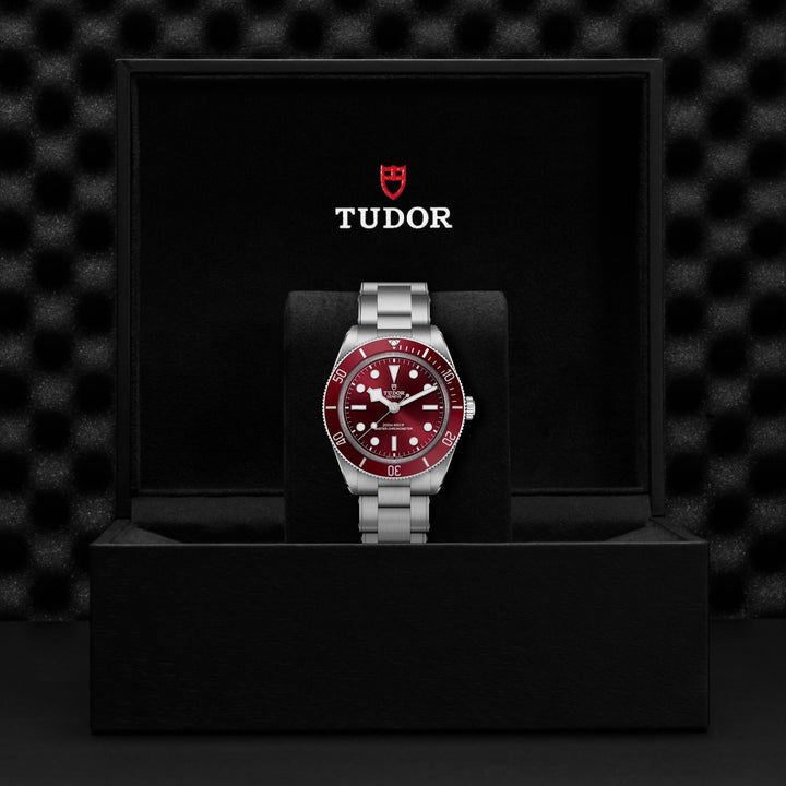 TUDOR Black Bay 58