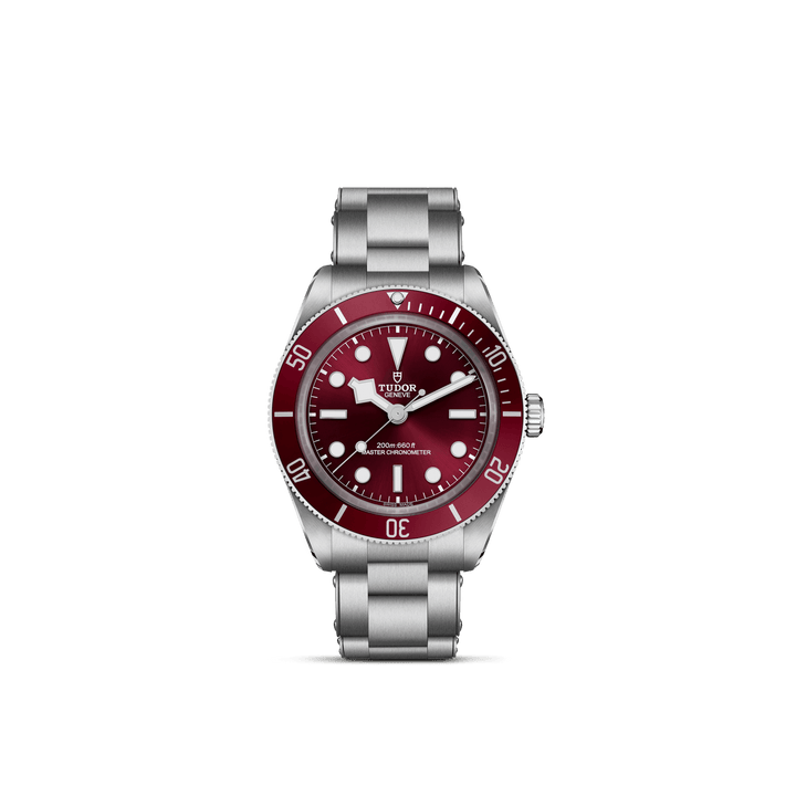 TUDOR Black Bay 58