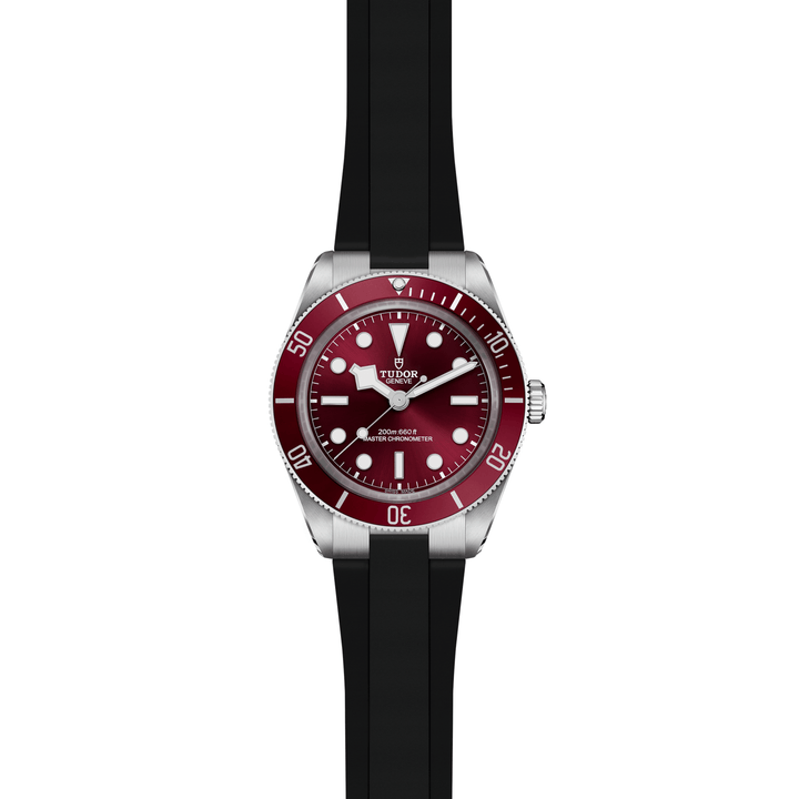 TUDOR Black Bay 58