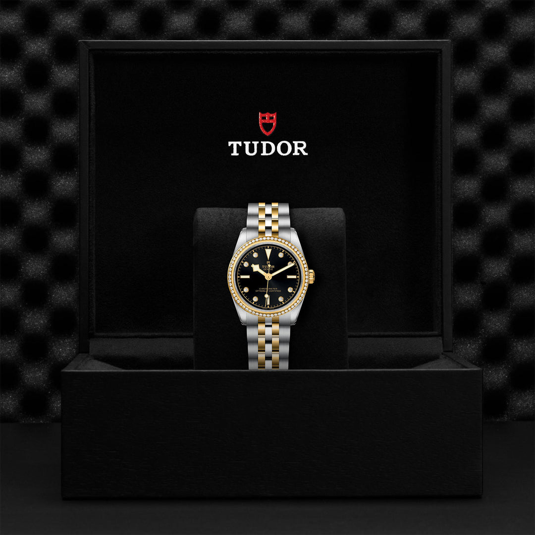 TUDOR Black Bay 31 S&G