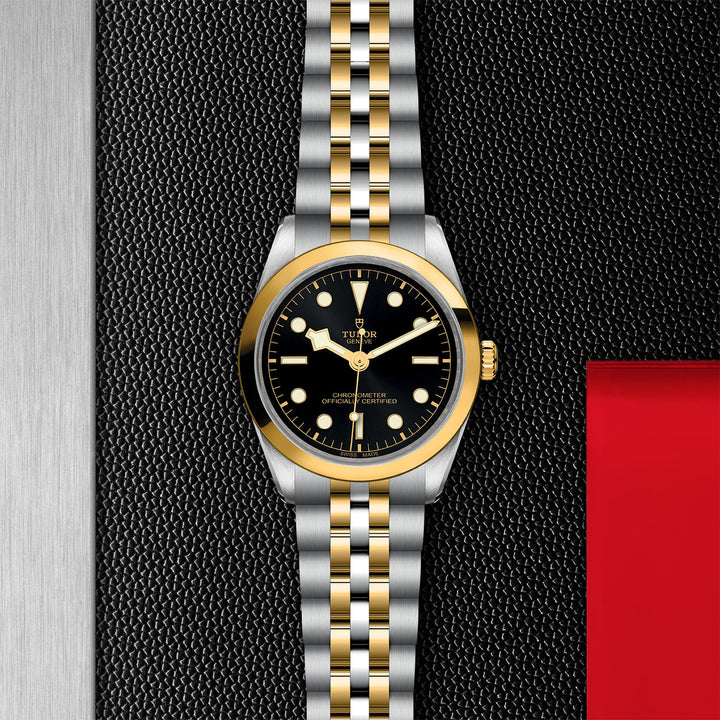 TUDOR Black Bay 36 S&G