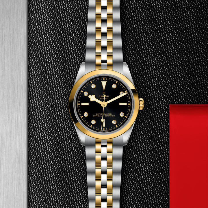 TUDOR Black Bay 36 S&G