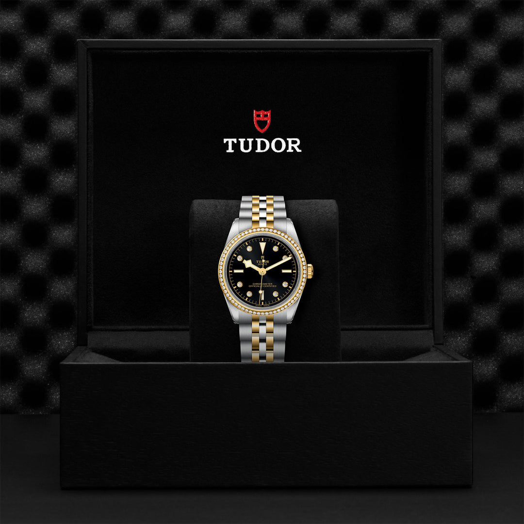 TUDOR Black Bay 36 S&G