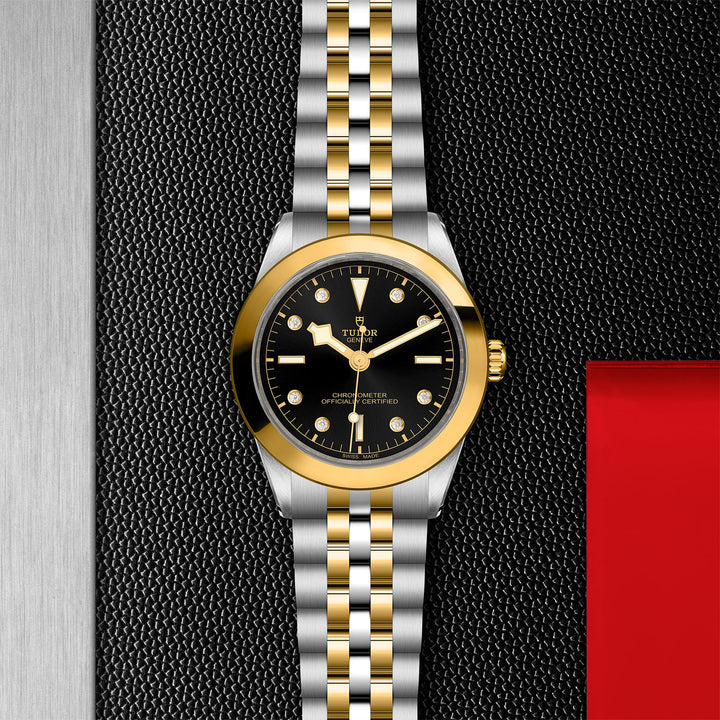 TUDOR Black Bay 39 S&G