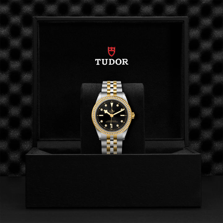 TUDOR Black Bay 39 S&G