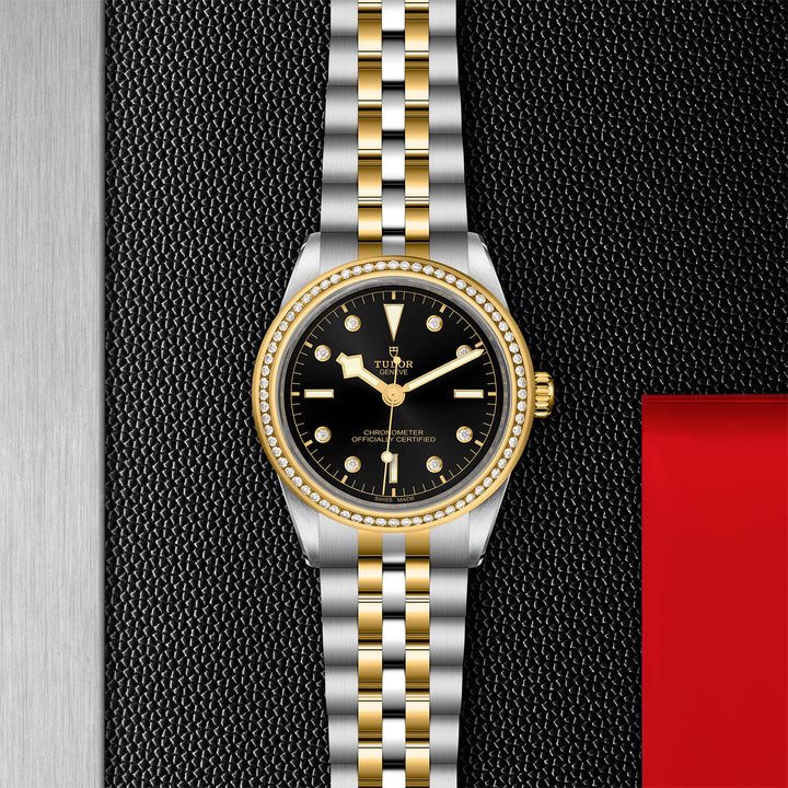 TUDOR Black Bay 39 S&G