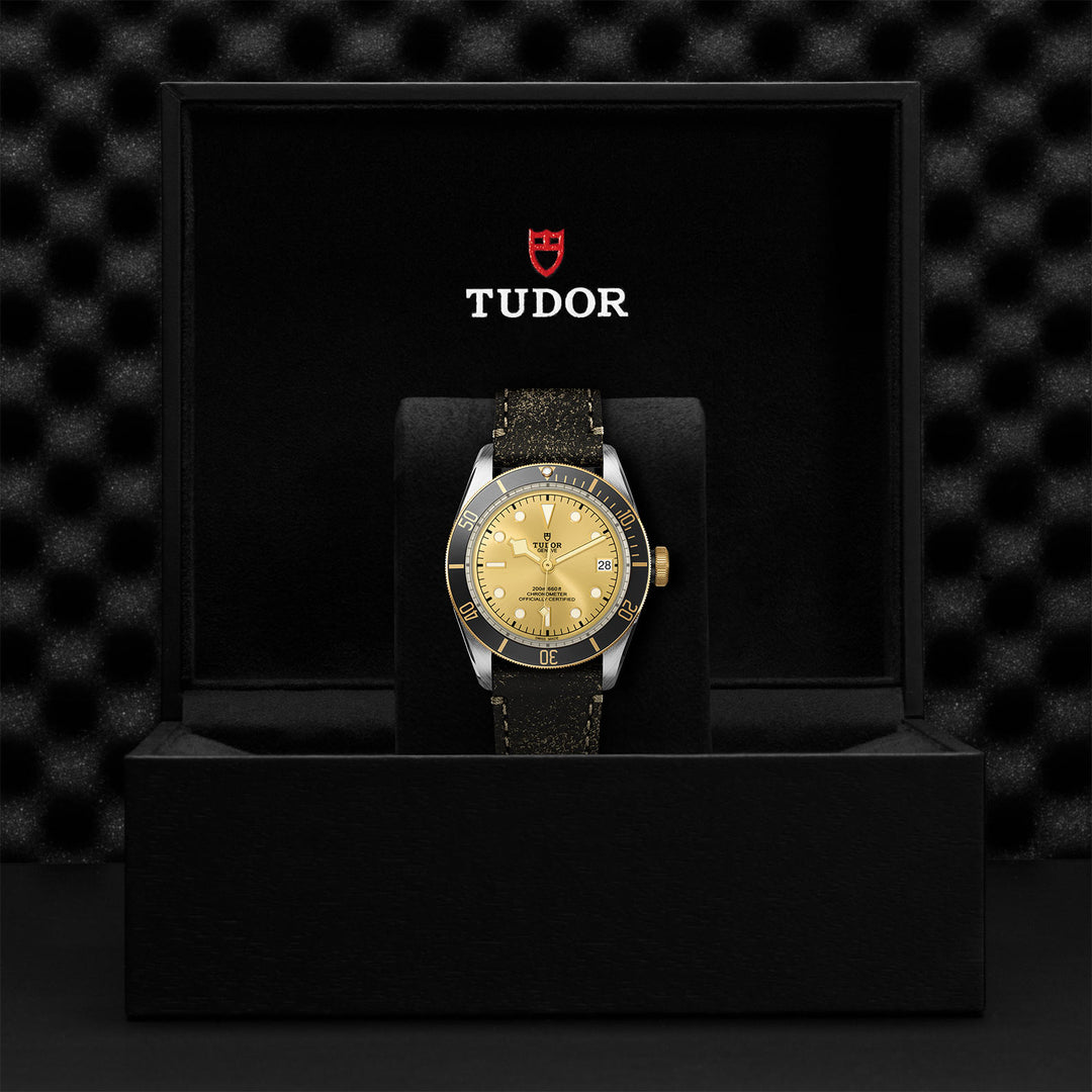 Montre TUDOR Black Bay S&G