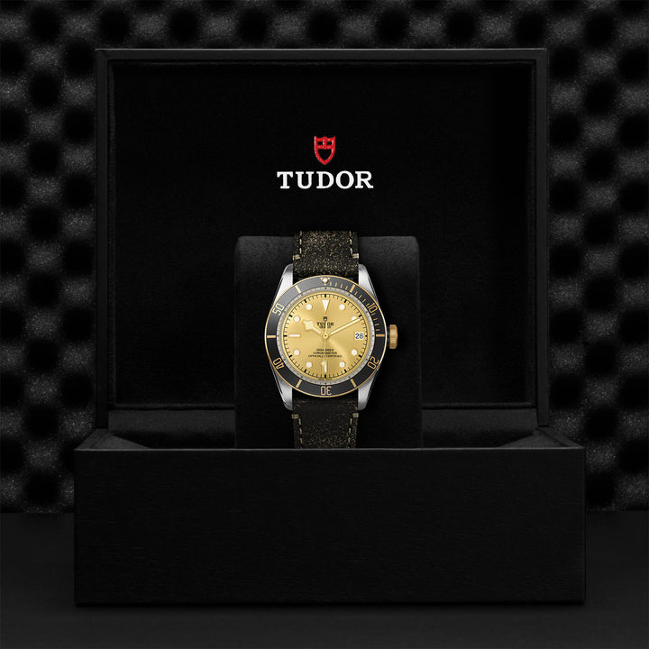 TUDOR Black Bay S&G Watch