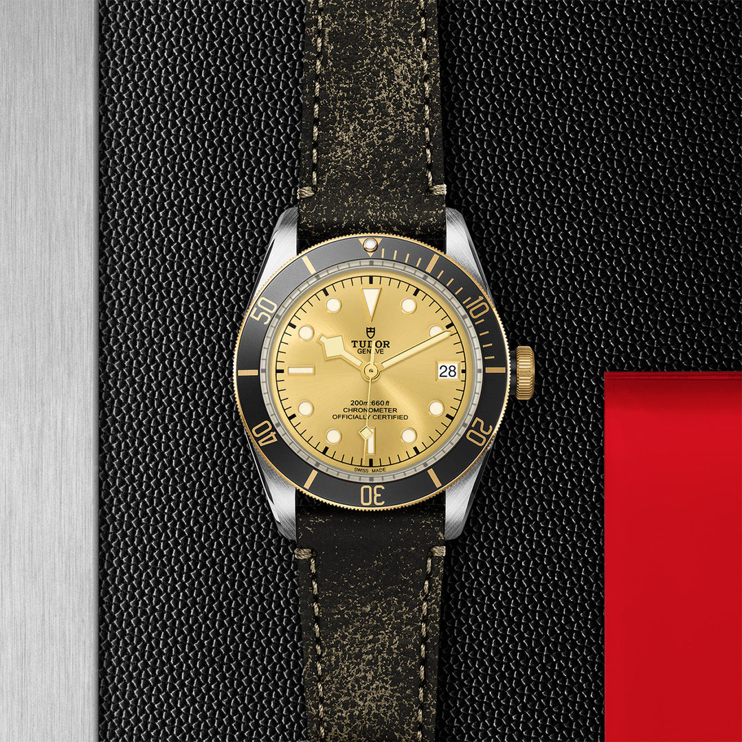 TUDOR Black Bay S&G Watch