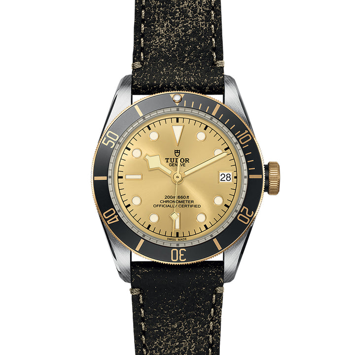 Montre TUDOR Black Bay S&G