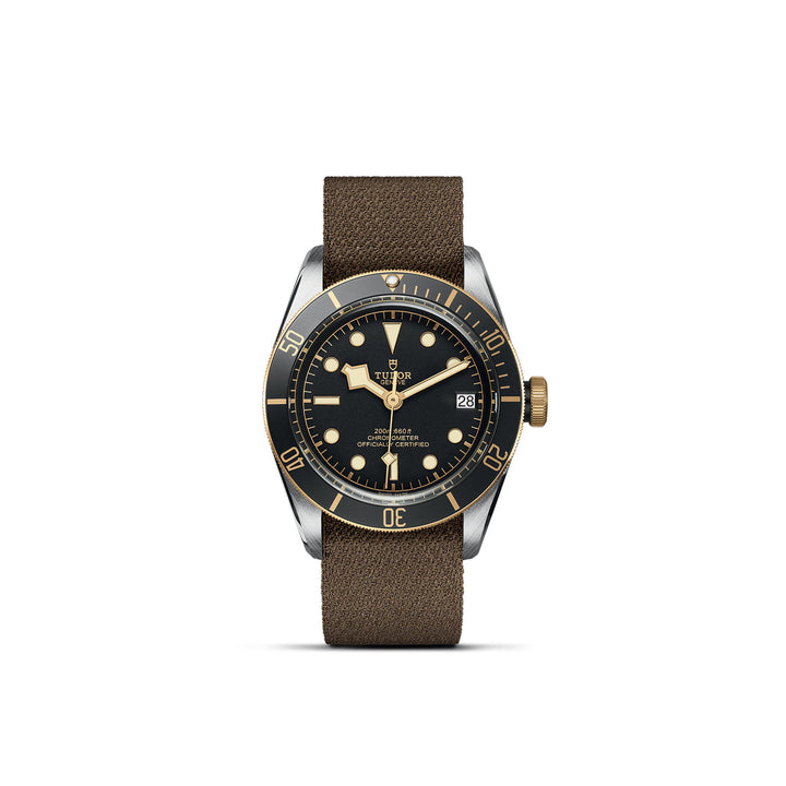 TUDOR Black Bay S&G Watch