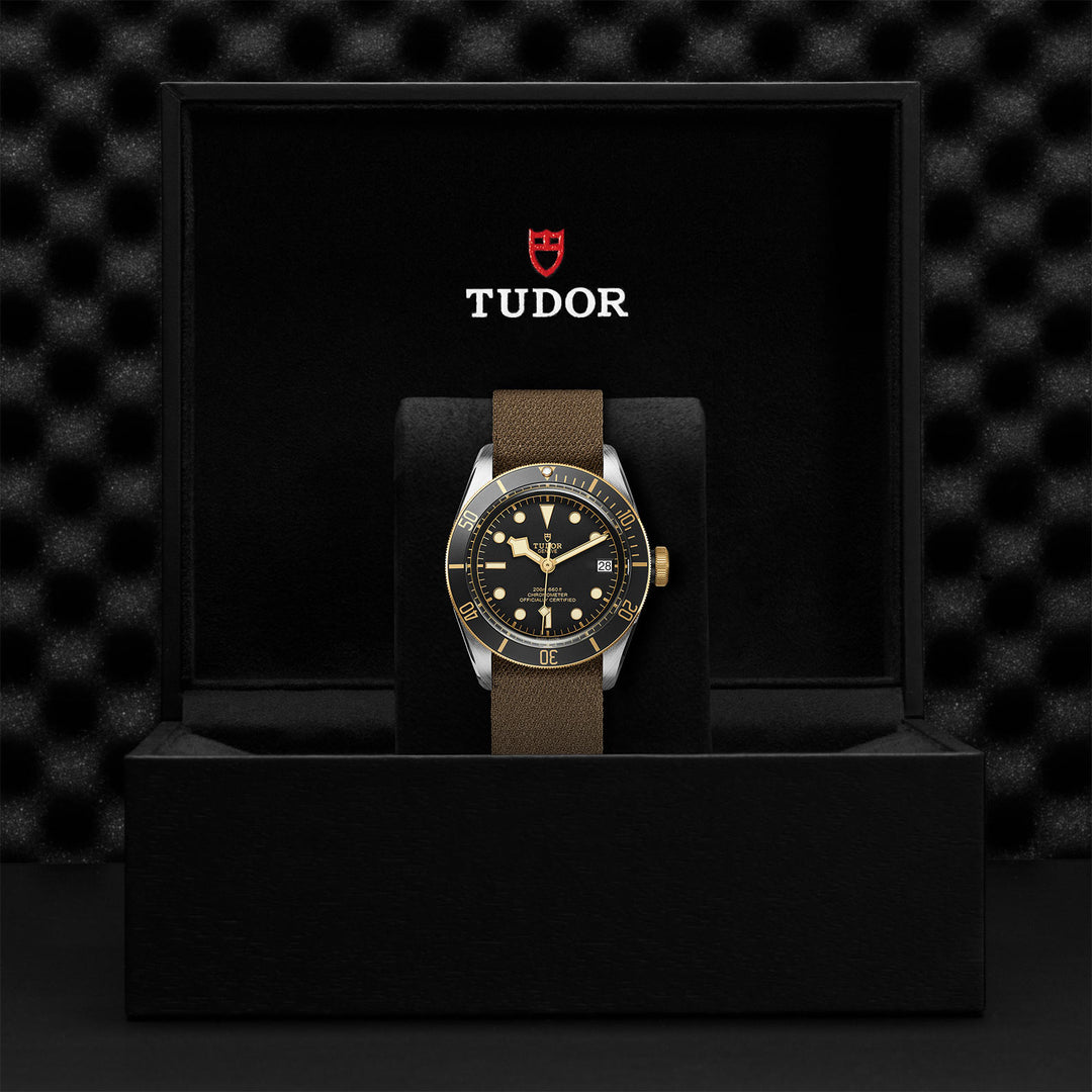 TUDOR Black Bay S&G Watch