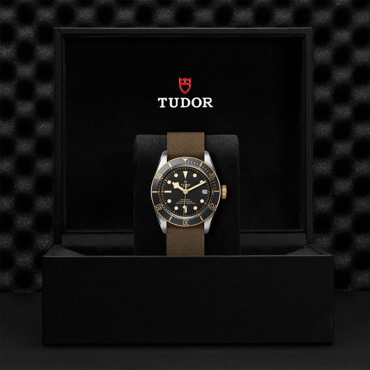 Montre TUDOR Black Bay S&G