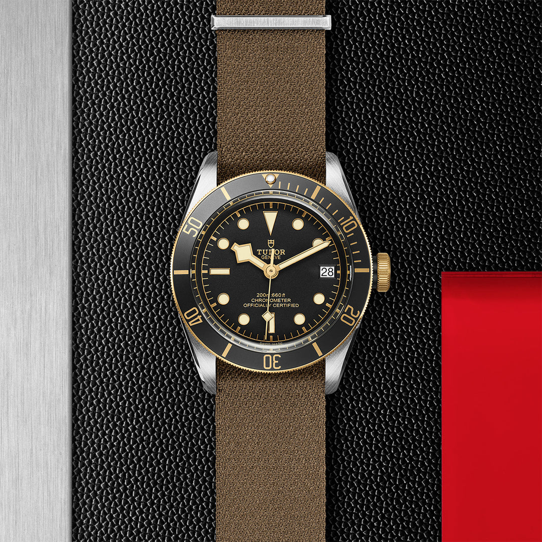 TUDOR Black Bay S&G Watch