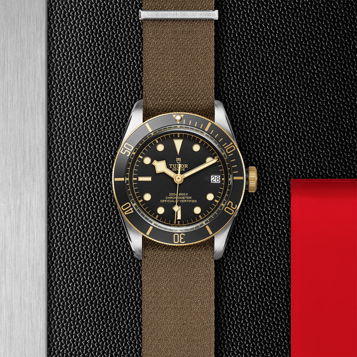 TUDOR Black Bay S&G Watch