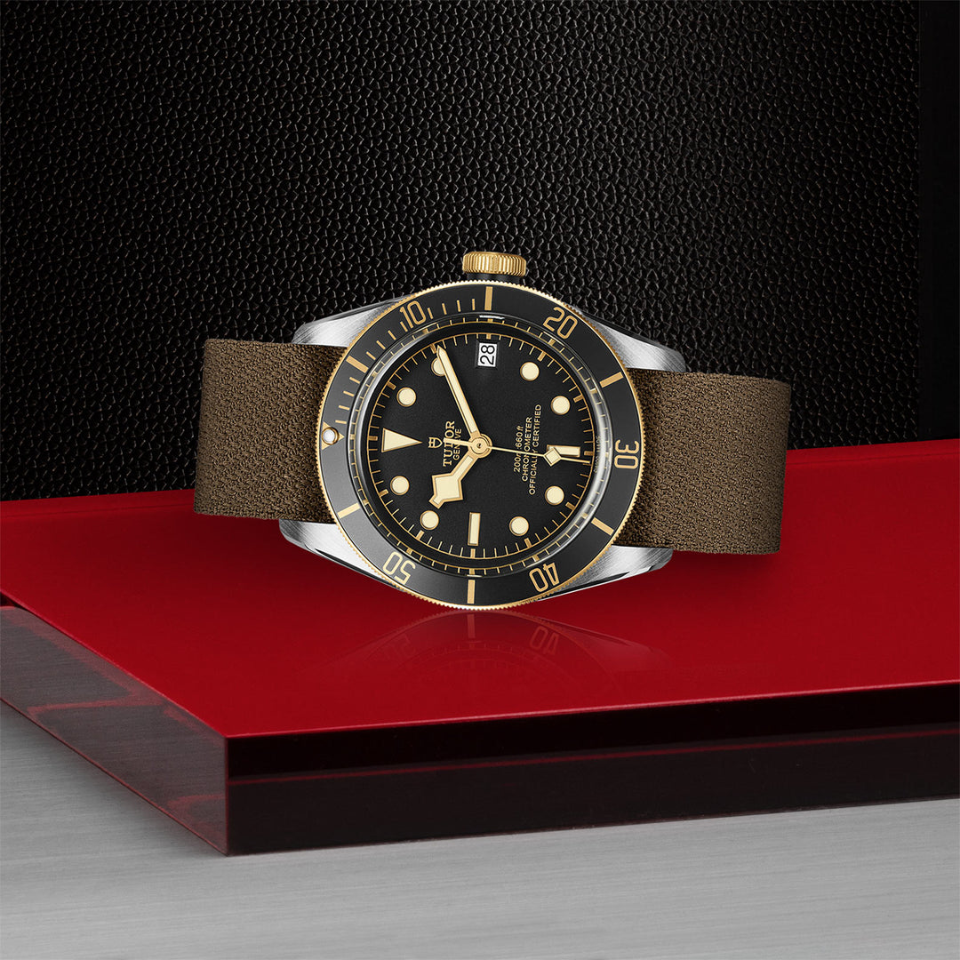 TUDOR Black Bay S&G Watch