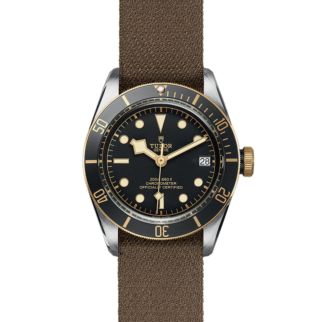 TUDOR Black Bay S&G Watch