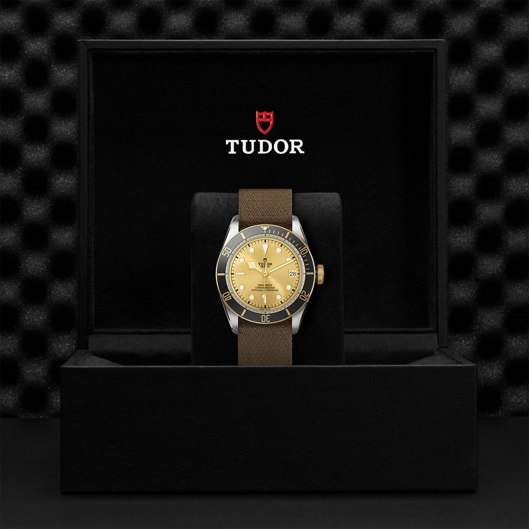 Montre TUDOR Black Bay S&G