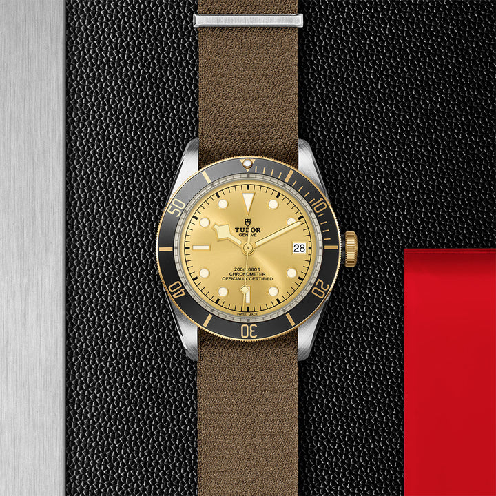 TUDOR Black Bay S&G Watch