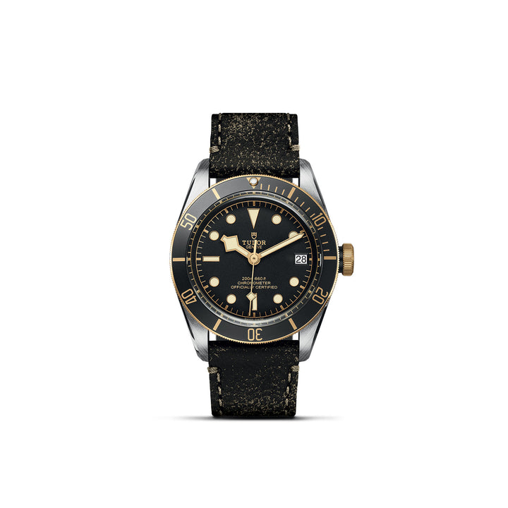 TUDOR Black Bay S&G Watch