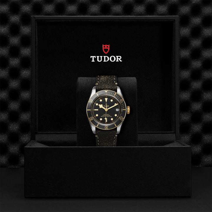 TUDOR Black Bay S&G Watch