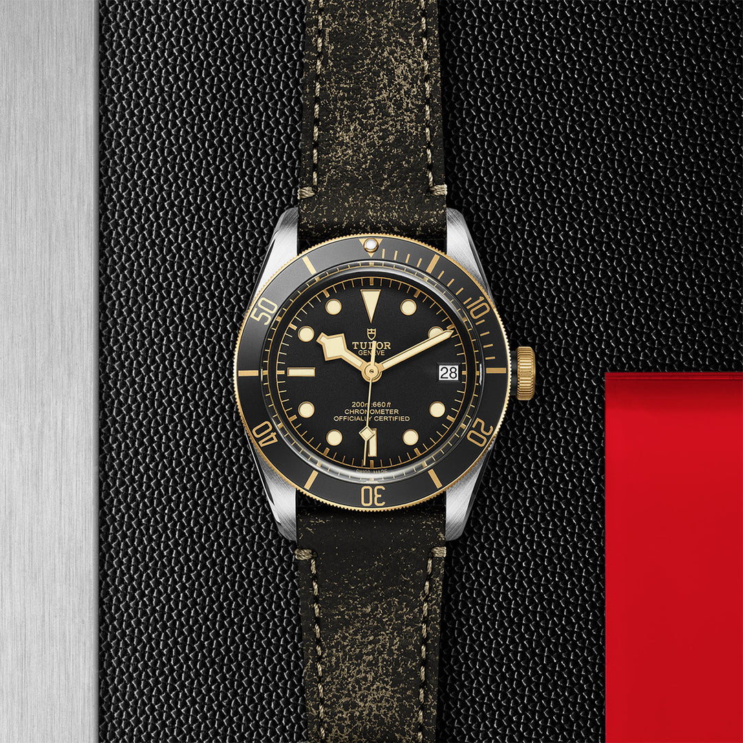 TUDOR Black Bay S&G Watch