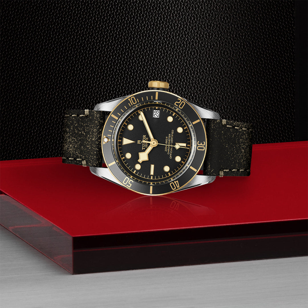 Montre TUDOR Black Bay S&G