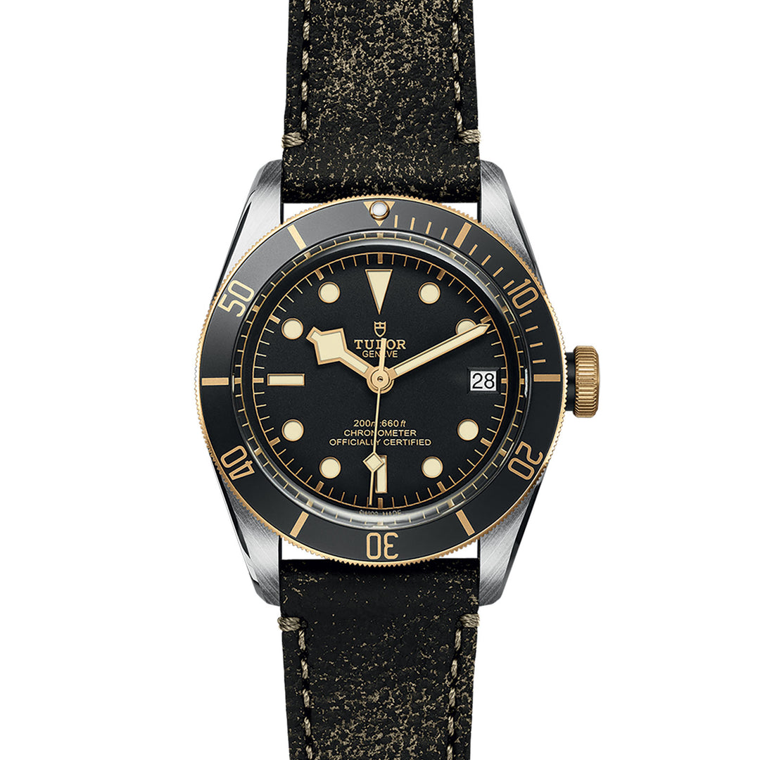 Montre TUDOR Black Bay S&G