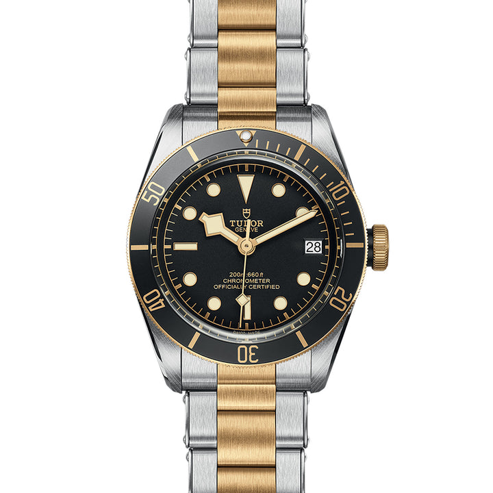 TUDOR Black Bay S&G