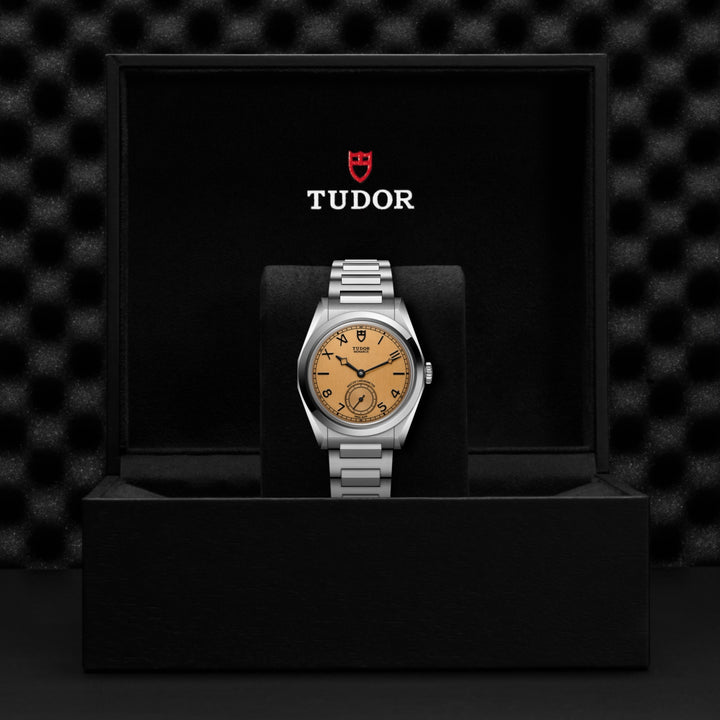 TUDOR Monarch
