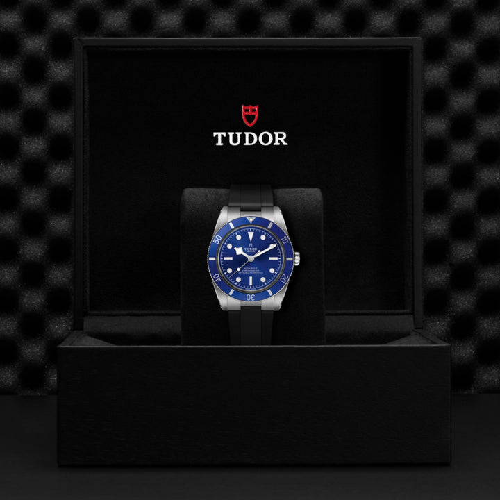 Tudor Black Bay 54