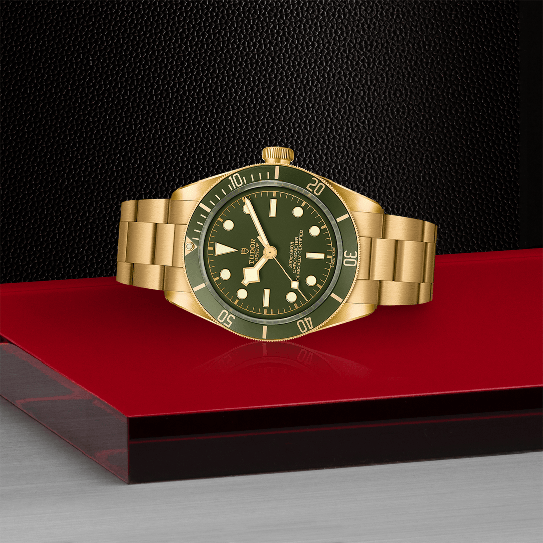 Tudor Black Bay 58 18ct