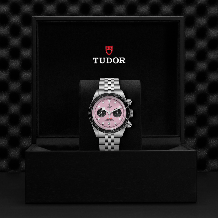 Tudor Black Bay